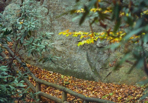 Red River Gorge in Fall